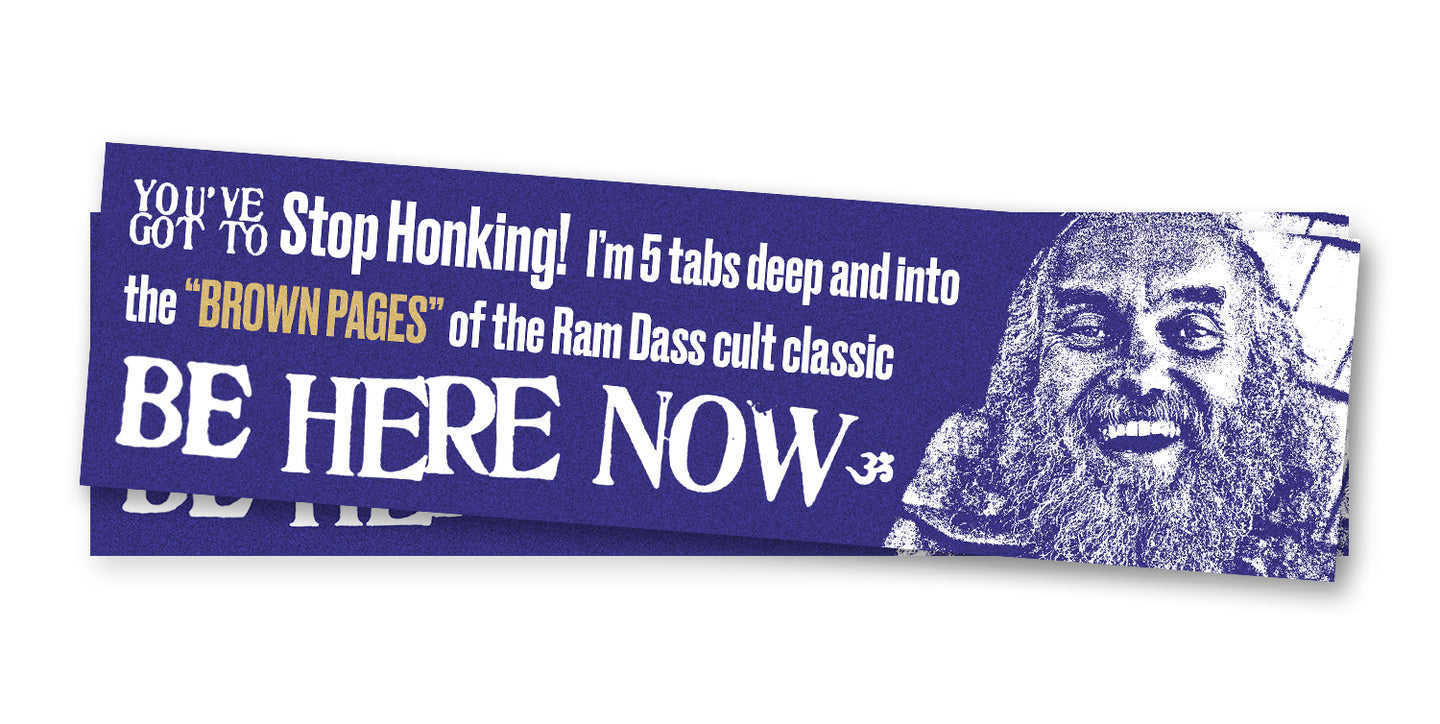 Ram Dass Bumper Sticker